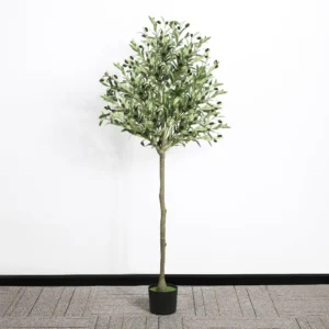 Маслиново дрво - Вештачко