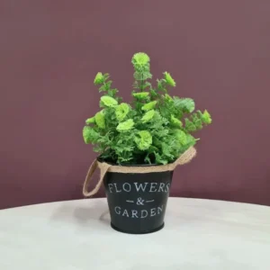 Вештачка ќитка Limnophila Sessiliflora Ambulia