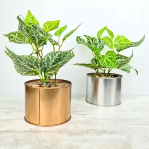 Вештачко Цвеќе Piper Crocatum